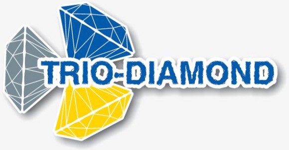 АГШК (черепашка) 100мм, Р30, мокрый, 340030 Trio-Diamond АГШК (черепашка) 100мм, Р30, мокрый, 340030 Trio-Diamond