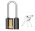 Замок навесной длинная дужка INGCO 50мм,320г,металлический,DIPL0501L