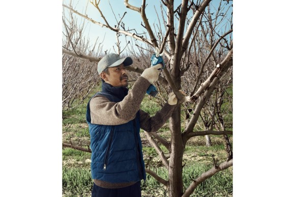 Секатор аккумуляторный Pro Pruner BOSCH,12В Li-ion 3Ач*2шт,рез 25мм Секатор аккумуляторный Pro Pruner BOSCH,12В Li-ion 3Ач*2шт,рез 25мм