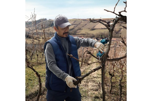 Секатор аккумуляторный Pro Pruner BOSCH,12В Li-ion 3Ач*2шт,рез 25мм Секатор аккумуляторный Pro Pruner BOSCH,12В Li-ion 3Ач*2шт,рез 25мм