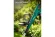 Триммер аккумуляторный(LMS) ЗУБР  ТАБ-2031-21,20В, 1 АКБ 2 А*ч, 310мм,коробка